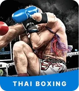 มวยไทย ตีไก่ วัวชน